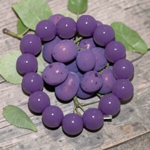 Violet Grape Glow Ring